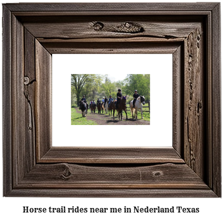 horse trail rides near me in Nederland, Texas